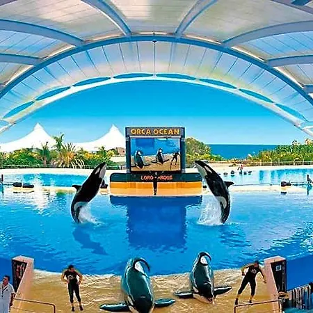 Hotel Golden Paradise Heated Pool At Albatros Park